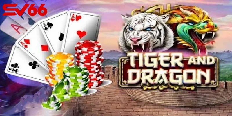 Mẹo chơi Rồng Hổ dành cho người mới muốn thắng nhanh