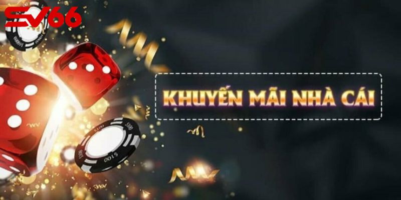 các lợi ích khuyến mãi hấp dẫn