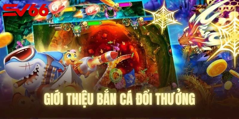 Cổng game nhiều điều thú vị giải trí đỉnh cao