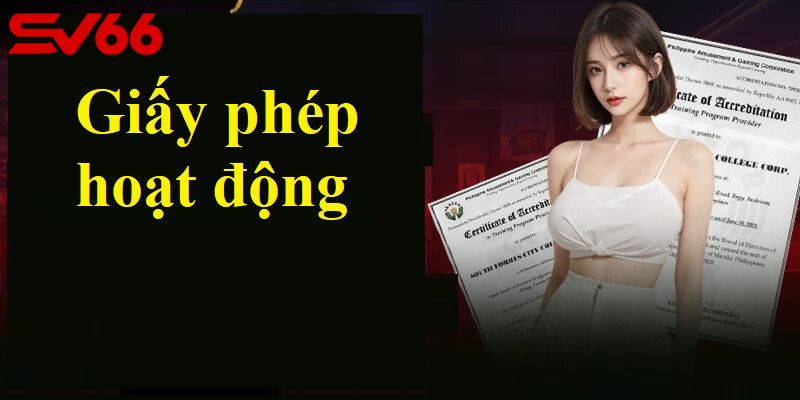 Nhiều tổ chức cung cấp chứng nhận hoạt động