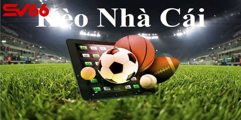 Những yếu tố ảnh hưởng đến lựa chọn kèo cược