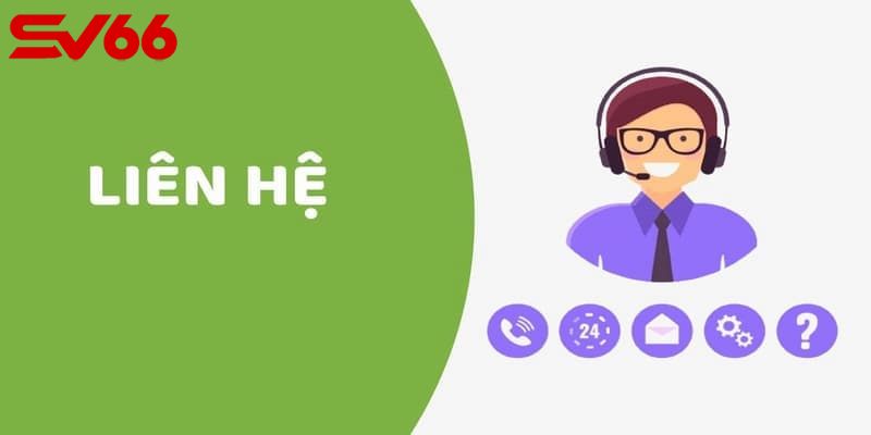 Tổng quan tình huống liên hệ SV66